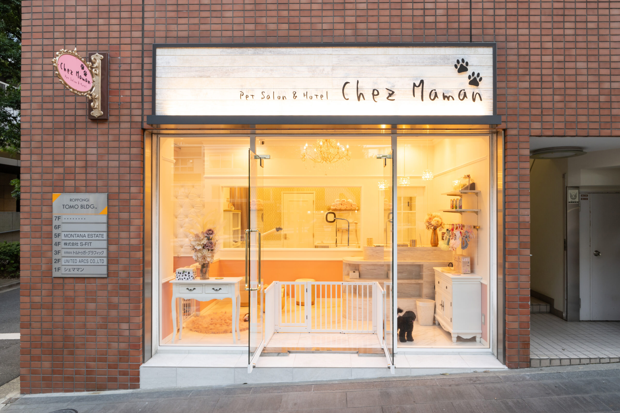 ST9_5090 のコピー_original