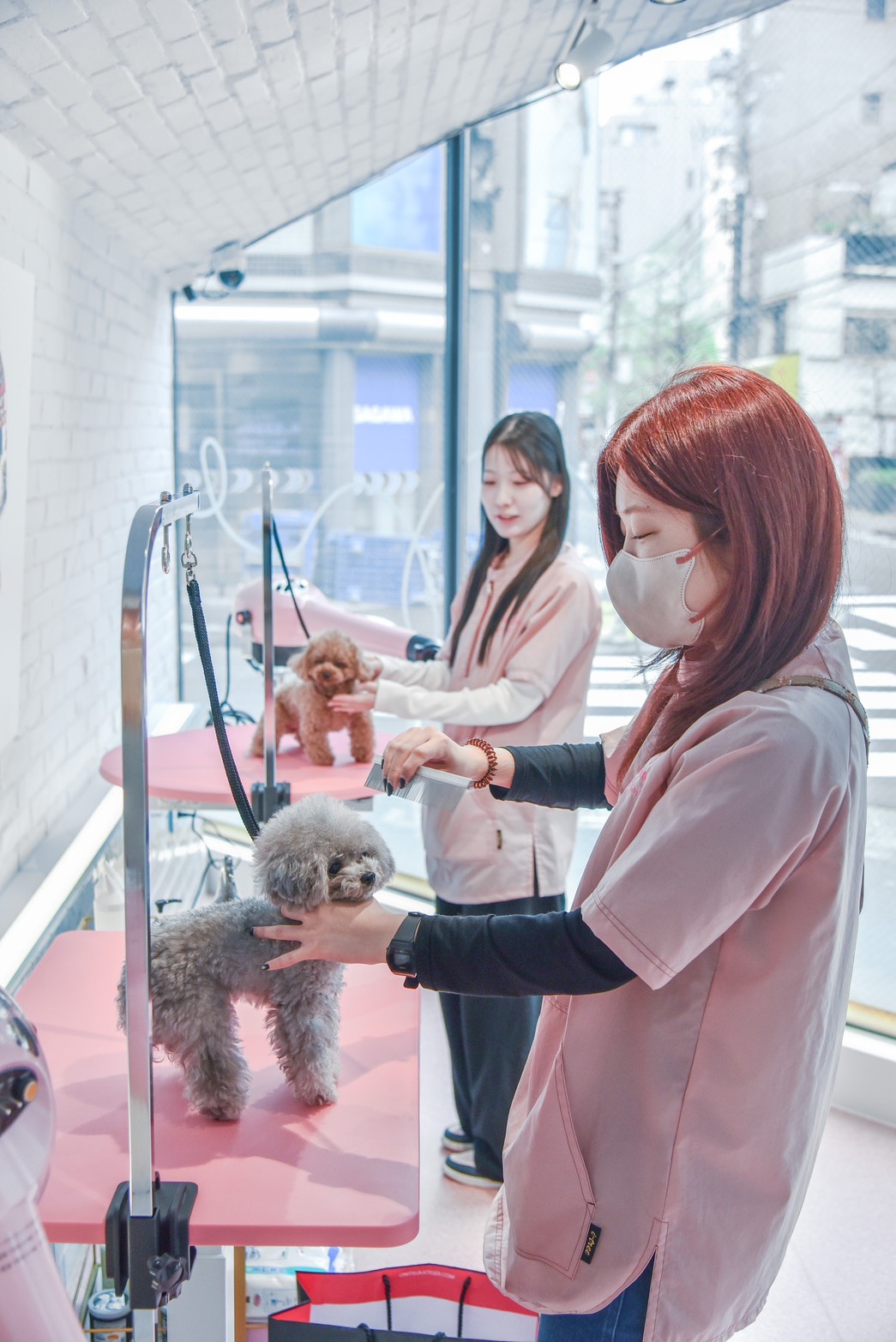 line_oa_chat_260407_204018